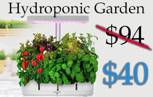 Whidbey Island Online Sale Three